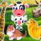 Physical features of animals: cow, monkey, cat, giraffe, turtle - Part 13