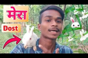 Rabbit मेरा Dost 🐰 | Funny Animal Videos | Funny Animals | Cute Animals | Animal Videos | Rabbit