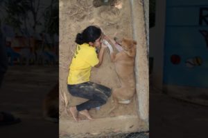 Rescue Dog With big Tumor #shorts #dogrescue #doglover #animals #dog #injured #rescuedog  #pet #pets