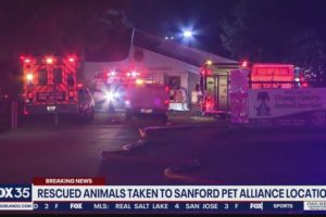 Rescued animals taken to Sanford Pet Alliance location