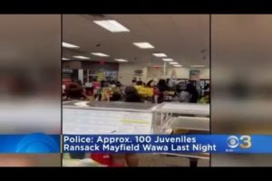 Roughly 100 juveniles ransack Wawa in Northeast Philadelphia