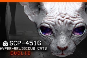 SCP-4516 │ *Hyper-religious cats │ Euclid │ Extraterrestrial SCP