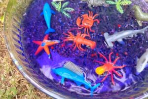 Sea animals in ocean|Sea creatures| DIY ocean| Octupus, turtle, sting ray, whale, Shark|POP n PLAY