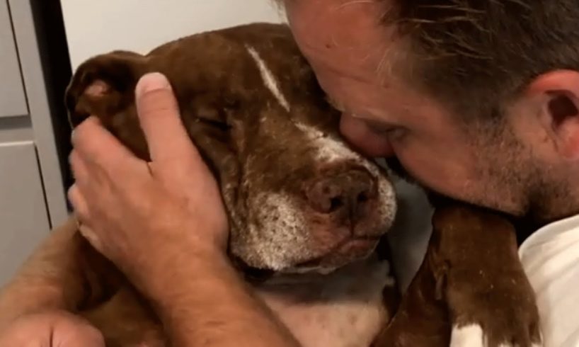 Senior shelter dog was desperate for love. Then he found the perfect home.