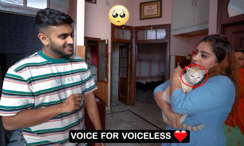 She Has Rescued More than 200 Animals (Voice For Voiceless )