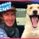 Sweet Dog Rescued From Woods Has BIG Surprise For Hero | Rescued! | Dodo Kids