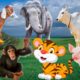 Synthesize animals for babies: pig, cow, duck, monkey, elephant, tiger - animal sounds