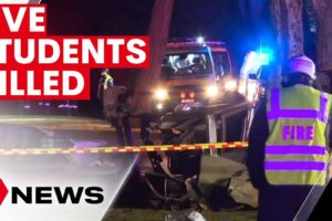 Teens killed when a car struck a tree south-west of Sydney | 7NEWS