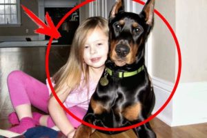 This family adopted a DOBERMAN from the shelter, and after 5 days, the parents heard a SCREAM