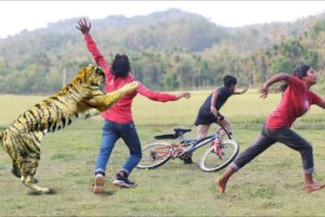 Tiger Attack Nearby Jungle  |  Animal  Attack Boys in African Forest Fun Made Movie by Wild Fighter