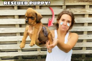 UNWANTED PUPPY FOUND! WE RESCUED HER!