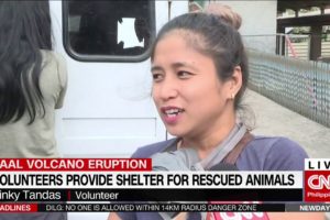Volunteers provide shelter for rescued animals