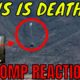 WHY I WILL NEVER SKYDIVE!!! TC3 Reacts to Fail Force Compilation #3!