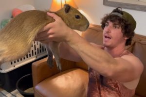 Why I Ate My Capybara (Apology Video) *Big Ounce Wedding P1*