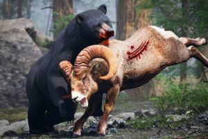 Wild Animals Hunting for Food | Real Animals Food | Bear Chases Ram | Animal Fights Videos 2022