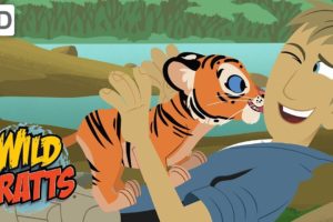 Wild Kratts - The Wildlife Heroes Saving One Animal at a Time