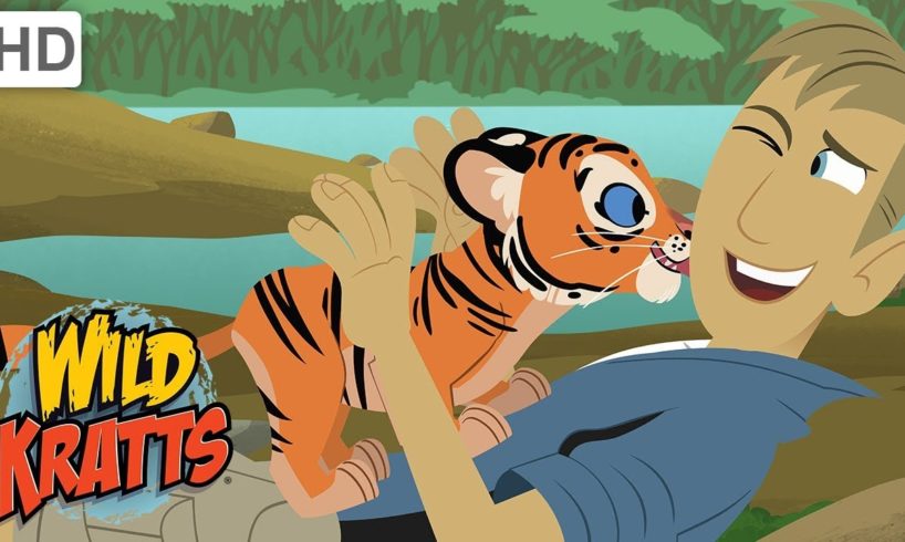 Wild Kratts - The Wildlife Heroes Saving One Animal at a Time