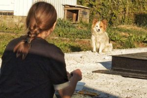 Woman Spent 6 Months Trying to Catch Tiny Scared Dog at Gas Station... and Then it Happened