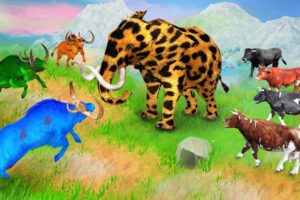 Zombie Bulls Versus Woolly Cheetah Elephant Save Cow Cartoon and Buffalos Animal Fight AnimalMammoth