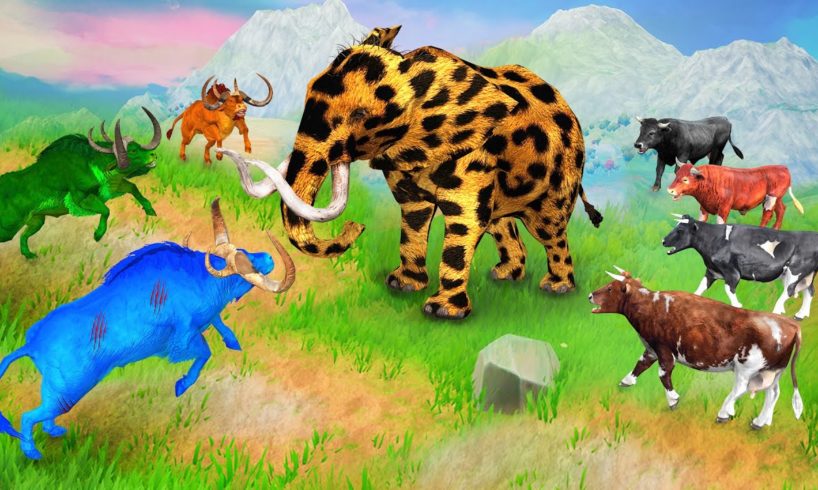 Zombie Bulls Versus Woolly Cheetah Elephant Save Cow Cartoon and Buffalos Animal Fight AnimalMammoth