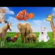 learn about familiar animals: cat, dog, chicken, horse, duck, cow, bird sounds