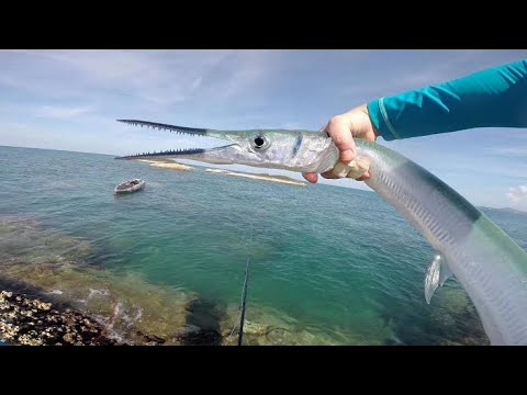 इस लड़के को आगे साथ क्या होता है #shorts #short #youtubeshorts #snakerescue #rescue @MrBeast