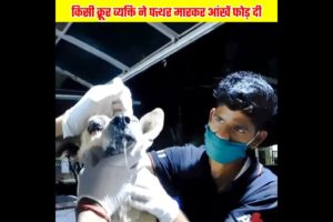 😢 क्रूरता, मासूम बच्चे की आंखें फोड़ दी humanity video #shorts #humanity