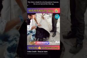 तार्कोल में बहुत बुरी तरह से फसा Dog😭 | Dog lover | Heart Touching  story|Animal rescue #shorts