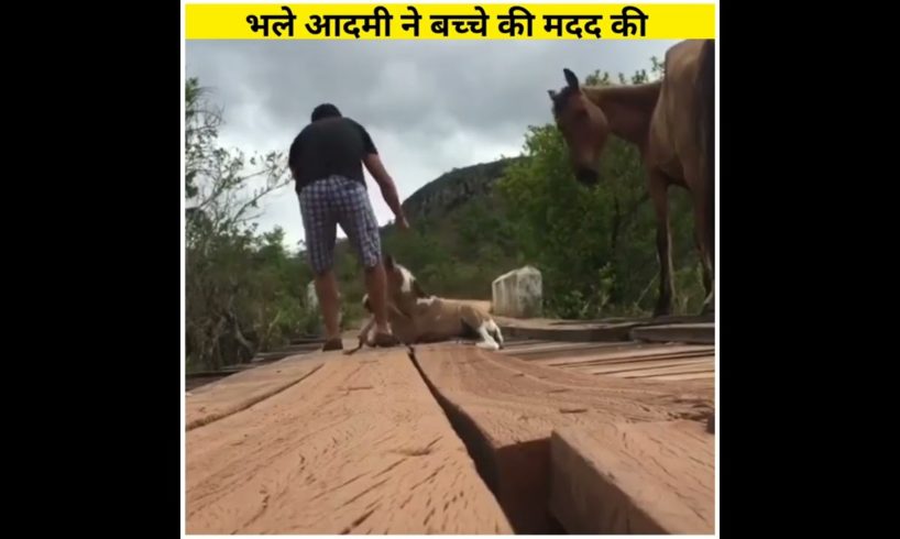 पुल मे फंस गया घोड़े का बच्चा #shorts #humanity #viralshorts #ytshorts