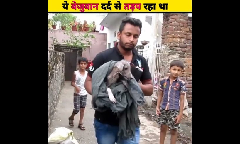 ये dog दर्द से तड़प रहा था|#shorts