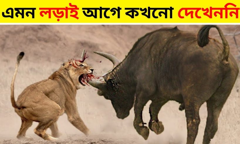 পশুদের সবচেয়ে ভয়ঙ্কর লড়াই । most dangerous wild animal fights | রহস্যজোন