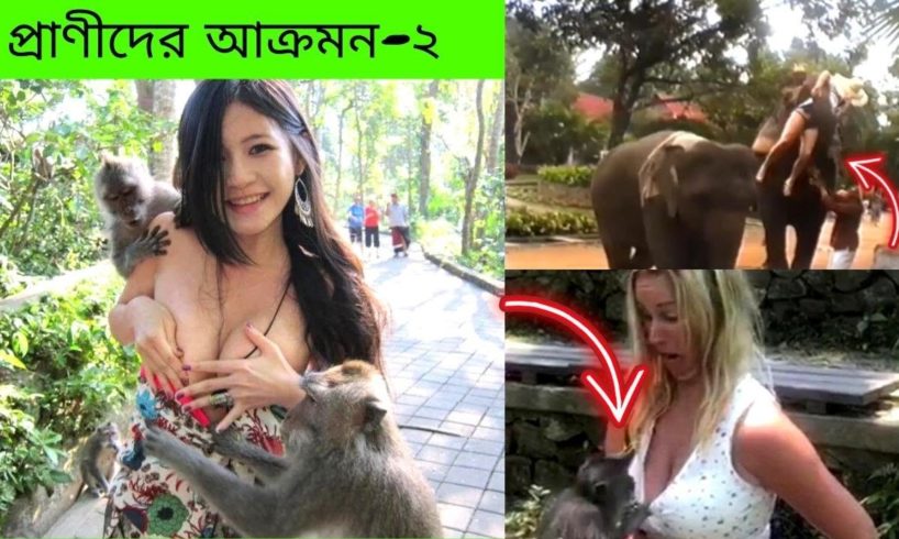 প্রাণীদের আক্রমন যেগুলো ক্যামেরায় ধরা পড়েছে- ২- Unexpected animal attack caught on camera-2