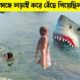 হাঙরের সঙ্গে লড়াই করে সন্তানদের বাঁচান এই মা ❤️❤️   Five Shark attack caught on camera