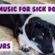 10 Hours! Relaxing Dog Music to Help Your Ill and Sick Puppy or Dog Recovering From Surgery!