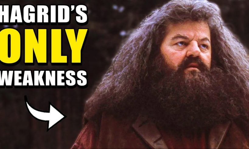 10 Things You NEVER Knew about Hagrid (Robbie Coltrane Tribute) - Harry Potter Explained