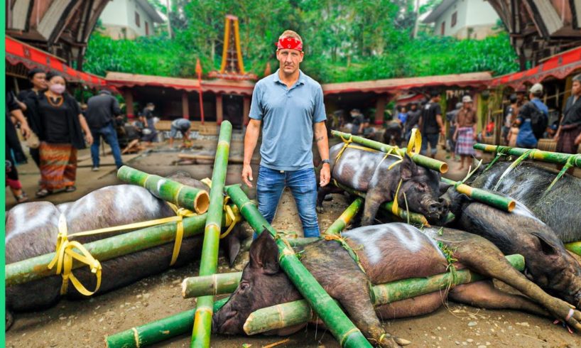 100 Buffalo, 50 Pigs, 1 Funeral!! Indonesia’s Costly Journey to Afterlife!!