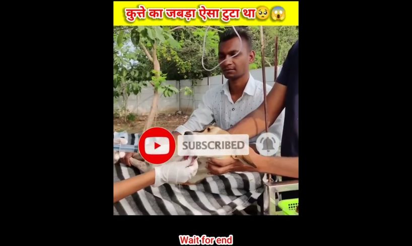 Slut to rescue team ❤🙌 Save to Dog life || 1 like and share his rescues team #shorts #part3