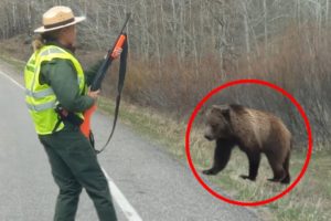 30 Scariest Bear Encounters of The Year