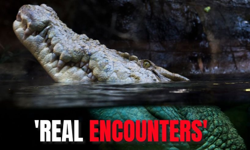 5 Crocodile Encounter Gone Wrong ! " Real encounters "