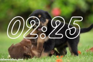 5 Minute Timer🐶🐶Cute Puppies & Puppy Music