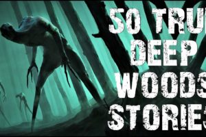 50 TRUE Disturbing Deep Woods & Cryptid Stories Told In The Rain | Scary Stories to fall asleep to