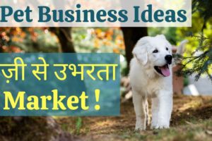 7 Profitable Pet Business Ideas - Business Ideas for Animal Lovers | Startup Ideas