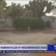 80-year-old woman mauled to death by 2 dogs in Victorville