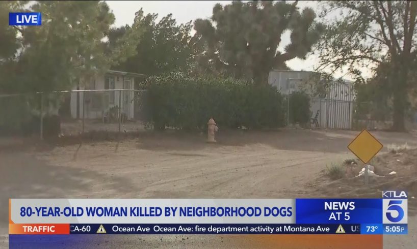 80-year-old woman mauled to death by 2 dogs in Victorville