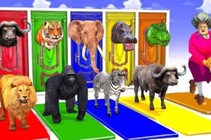 Animal Crossing Fountain Mammoth Elephant Cow Scary Teacher With Gorilla Choose The Right Wall Video