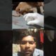 Animal save video #animals #shorts Animal videos|#myfirstvlogviral animal rescue videos