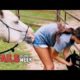 Animals Gone Wild! - Fails Of The Week