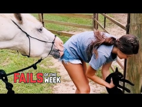Animals Gone Wild! - Fails Of The Week