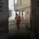 Cat gets rescued from Hurricane Ian floodwaters | USA TODAY #Shorts