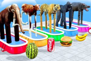 Choose the Right Duck Cartoon Animal Crossing Fountain with Elephant Mammoth Gorilla Cow Tiger T-Rex